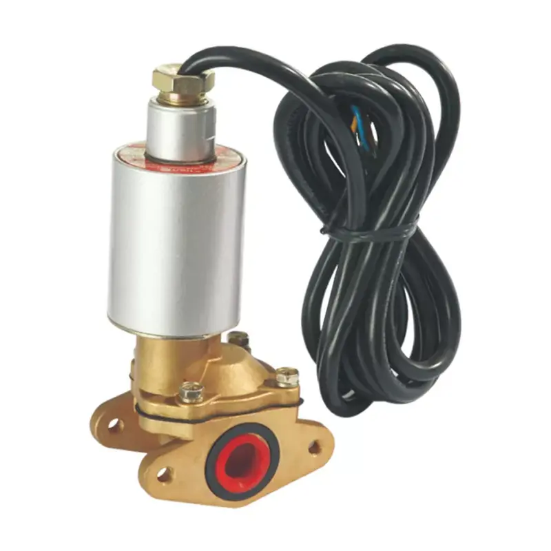လောင်စာလျှံ solenoid valve