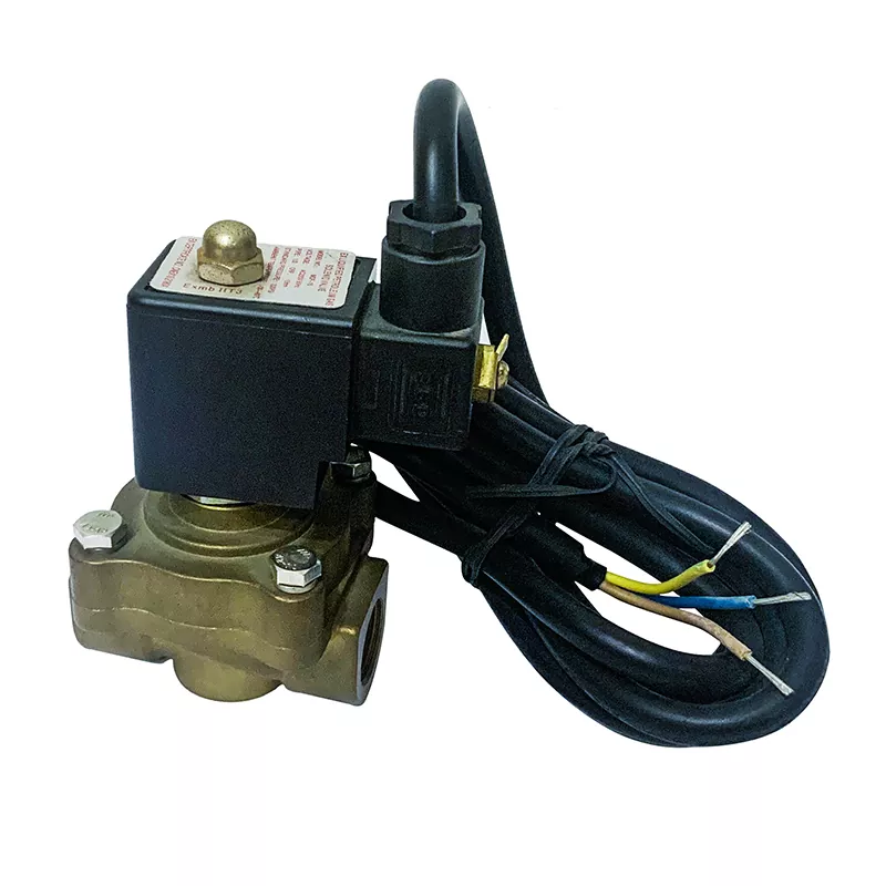 တစ်ခုတည်းစီးဆင်းမှု lpg dispenser solenoid valve